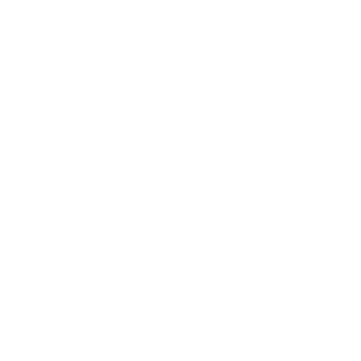 Custom Icon