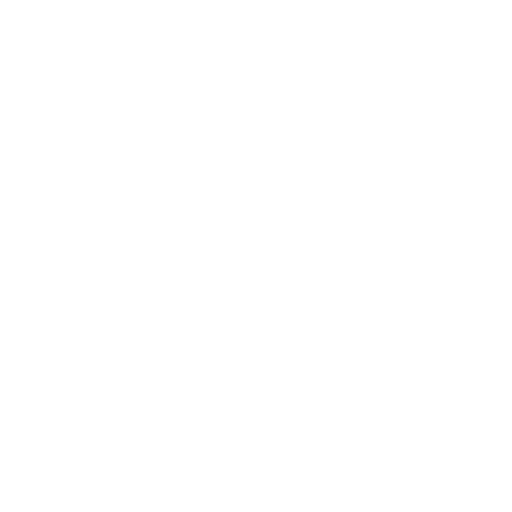 Precision Icon