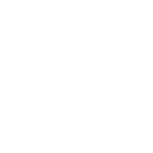 Fast Setup Icon